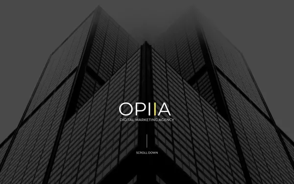 img of B2B Digital Marketing Agency - OPIIA Inc.